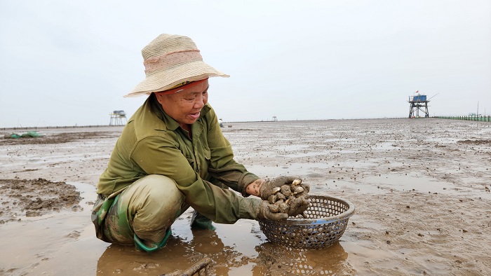 Ra đảo Nẹ Du lịch Hậu Lộc Thanh Hóa khám phá cuộc sống hàng ngày của ngư dân địa phương