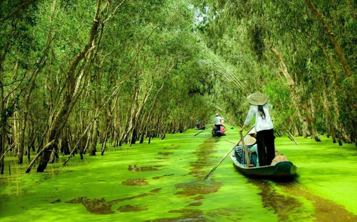 Du lịch Kiên Giang tháng 8 đi đâu? Ngắm vườn quốc gia U mInh Thượng mùa nước nổi