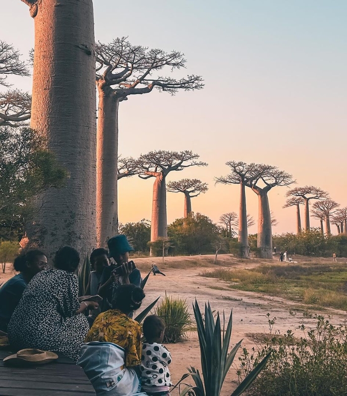 Du lịch Madagascar - Con đường cây Baobabs còn là nơi lưu giữ những giá trị lịch sử và văn hóa lâu đời