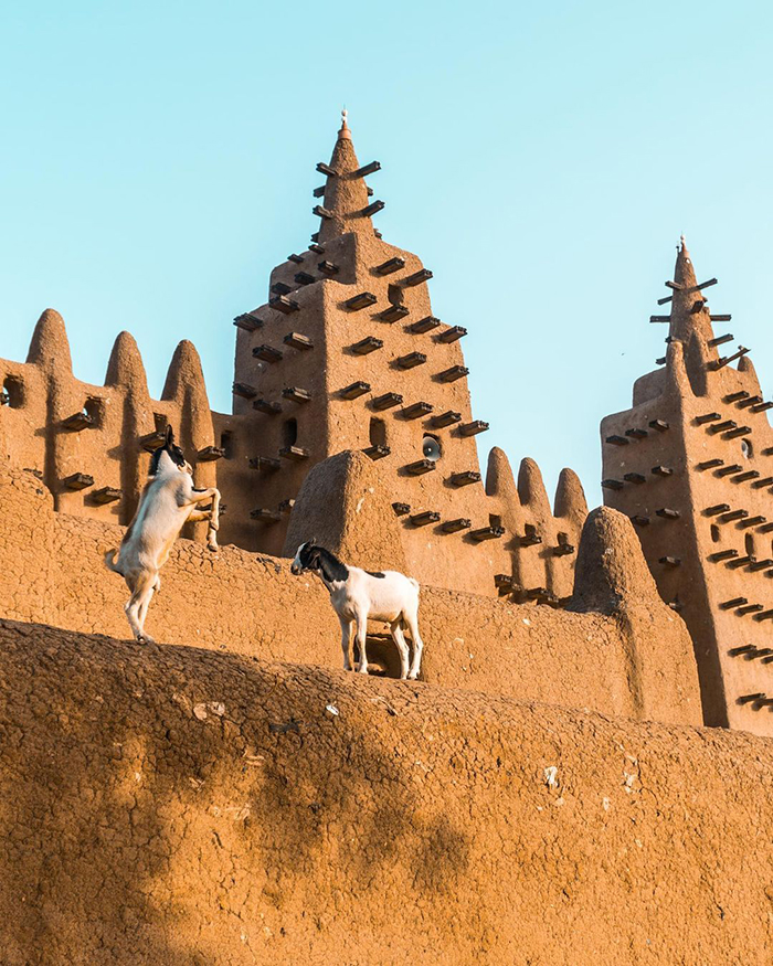 Khám phá Vườn quốc gia Boucle du Baoulé khi du lịch Mali