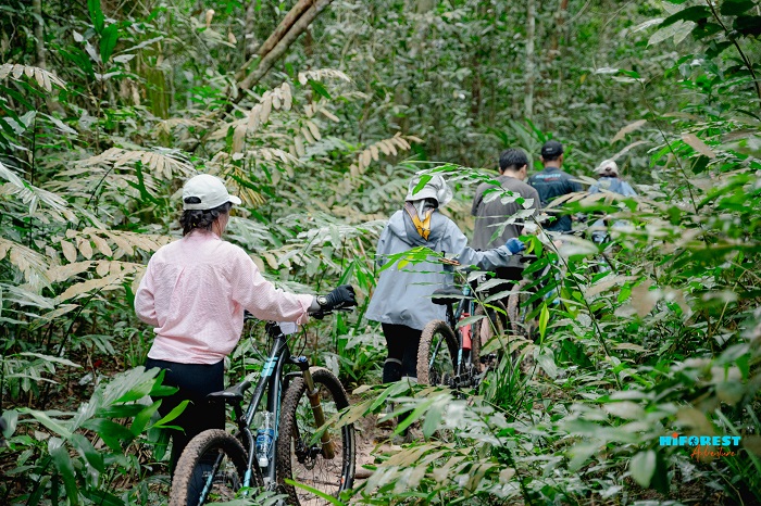 Khám phá mùa bướm rừng Mã Đà thu hút nhiều bạn trẻ và các gia đình có con nhỏ gần Đồng Nai