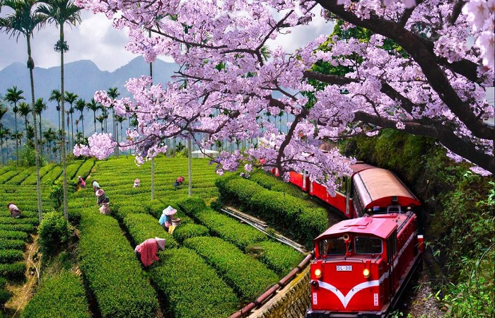 thị trấn đẹp nhất ở Đài Loan