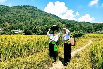 Lễ hội rửa lá lúa ở Hòa Bình: Nét văn hóa độc đáo của người Mường