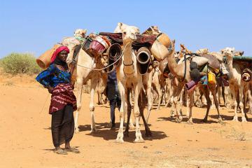 Khám phá du lịch Niger - Vẻ đẹp hoang sơ giữa sa mạc Sahara