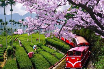 Khám phá vẻ quyến rũ của Cửu Phần và những ngôi làng, thị trấn đẹp nhất ở Đài Loan