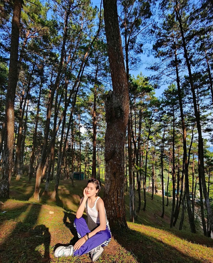 kinh nghiệm du lịch rừng thông Yên Minh bằng bất kỳ phương tiện nào