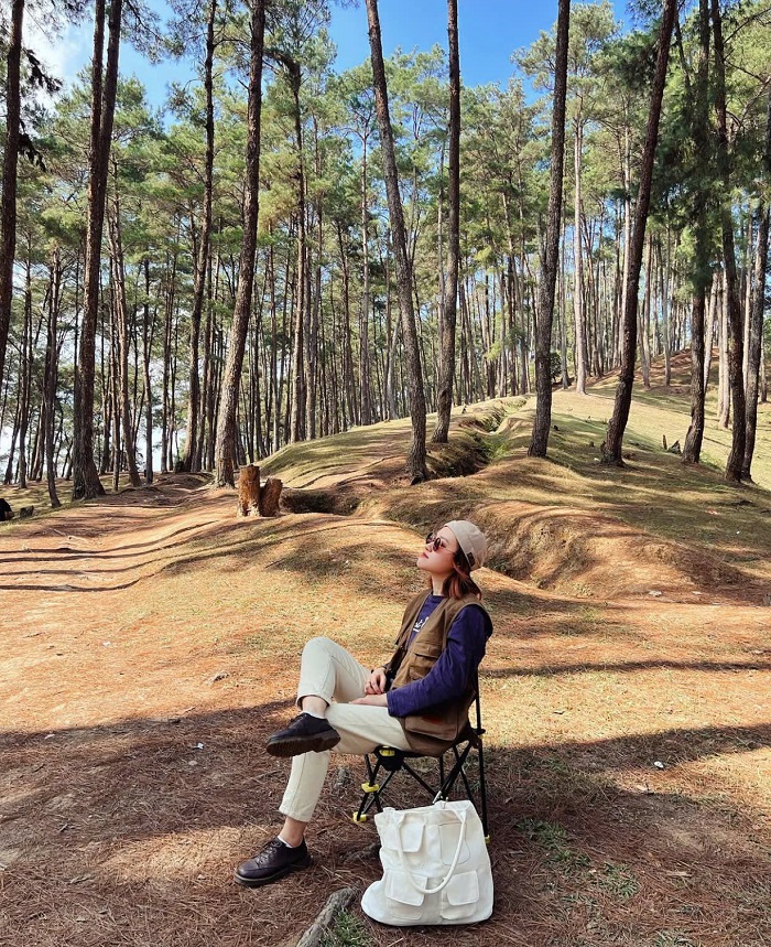 Kinh nghiệm du lịch rừng thông Yên Minh bỏ túi cho bạn