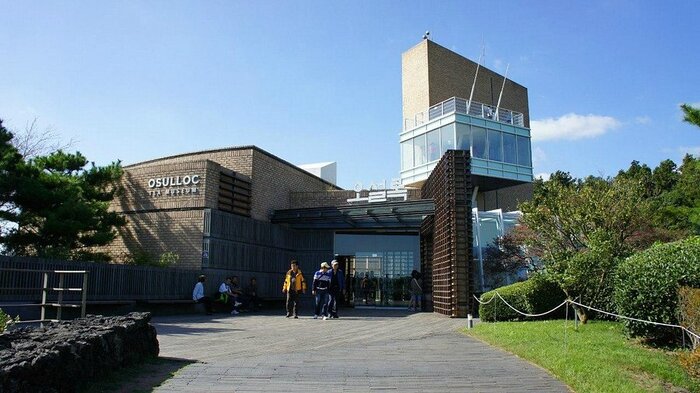 Cùng cẩm nang du lịch đảo Jeju Hàn Quốc tham quan Bảo tàng trà xanh O’sulloc