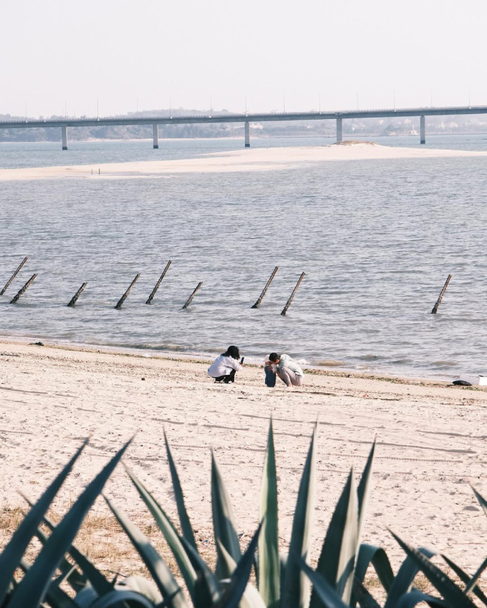 Vẻ đẹp của hòn đảo hoang sơ luôn có sức hấp dẫn kỳ diệu