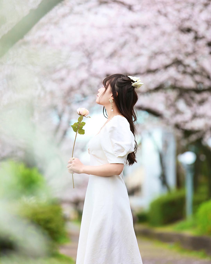 Mùa xuân (cuối tháng 3 - đầu tháng 4): Ngắm hoa anh đào