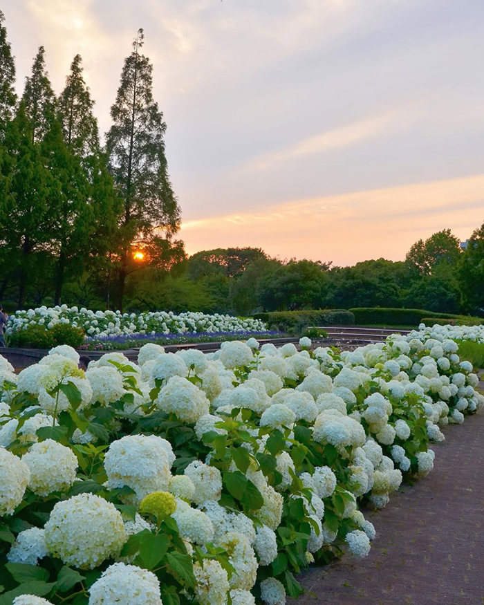 Tham quan nhà kính và khám phá thực vật theo mùa