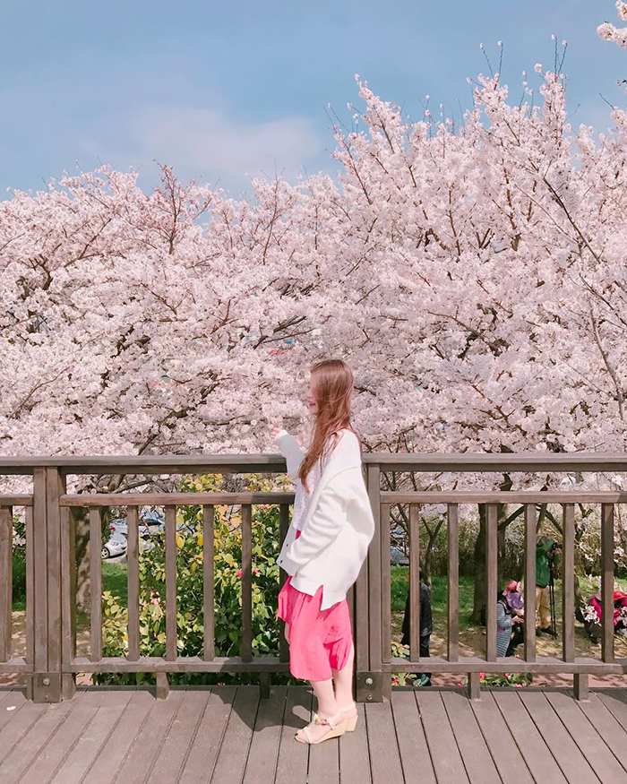 Thời điểm lý tưởng du lịch công viên sinh thái Samnak Hàn Quốc