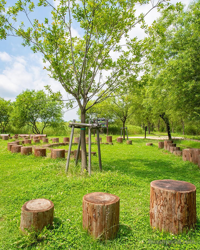 Khu vực quan sát chim di cư tại công viên sinh thái Samnak