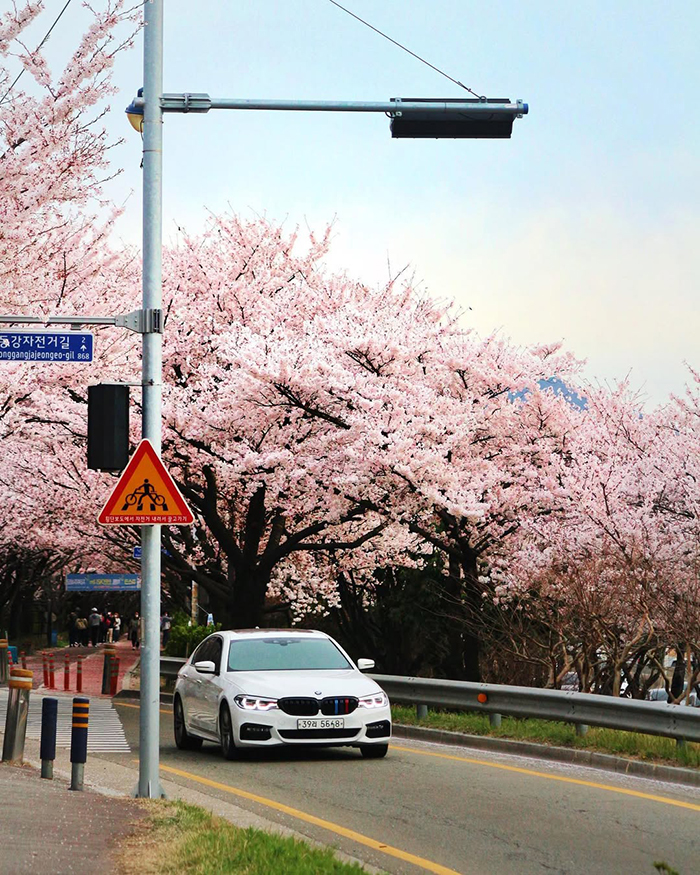 Trải nghiệm mỗi mùa trong năm tại công viên sinh thái Samnak Hàn Quốc