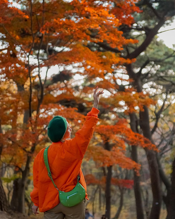 Công viên sinh thái Samnak Hàn Quốc có gì thú vị?