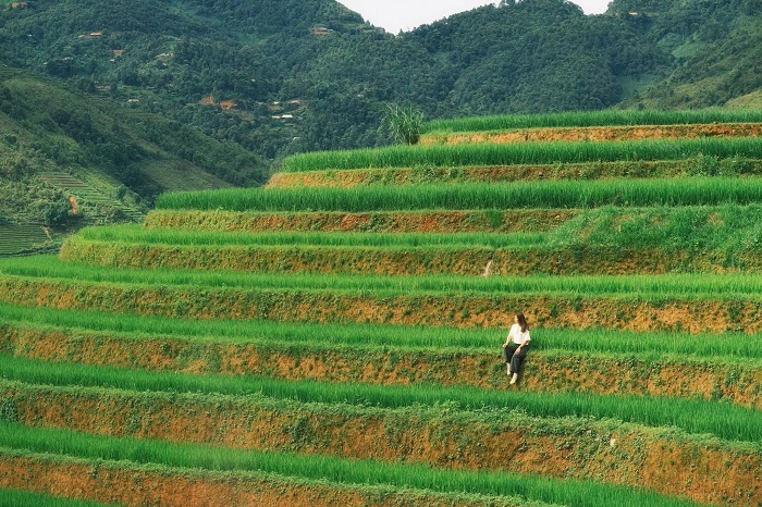 Thời điểm nào Du lịch Xím Vàng Sơn La cũng có nét đẹp riêng