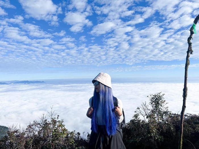 Lạc vào biển mây trên đỉnh Sa Mu trong chuyến Du lịch Xím Vàng Sơn La