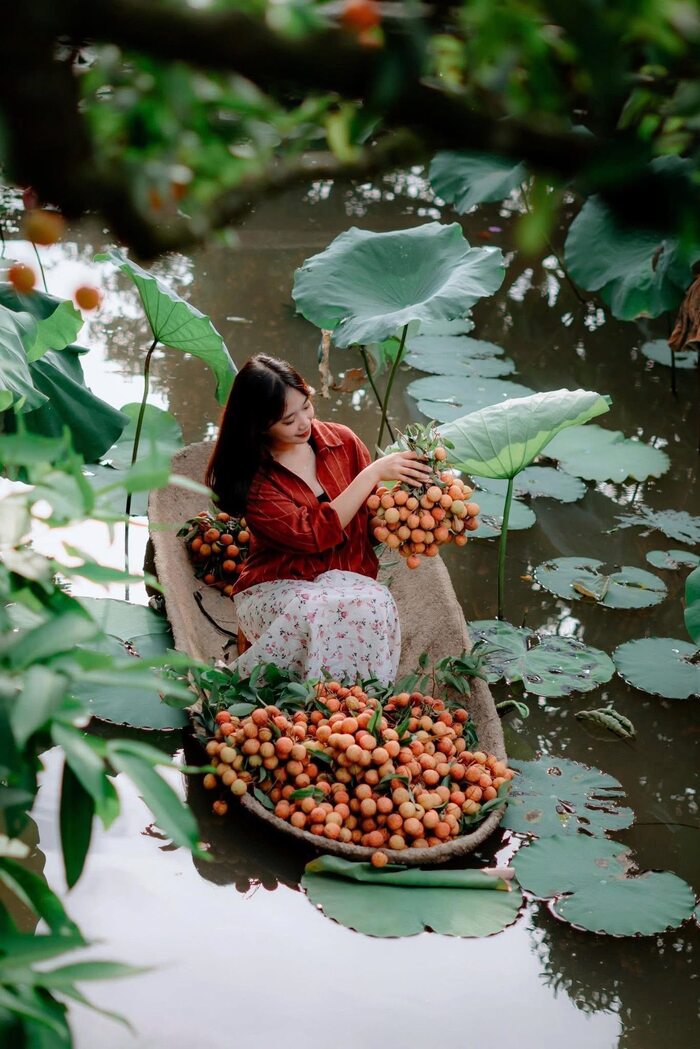 Khám phá các khu du lịch sinh thái ở Hải Phòng - Khu sinh thái Đồng Mẩn Hải Dương