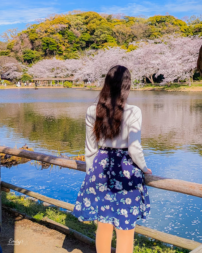 Khám phá hệ thống giao thông thuận tiện tại vườn Sankeien Nhật Bản