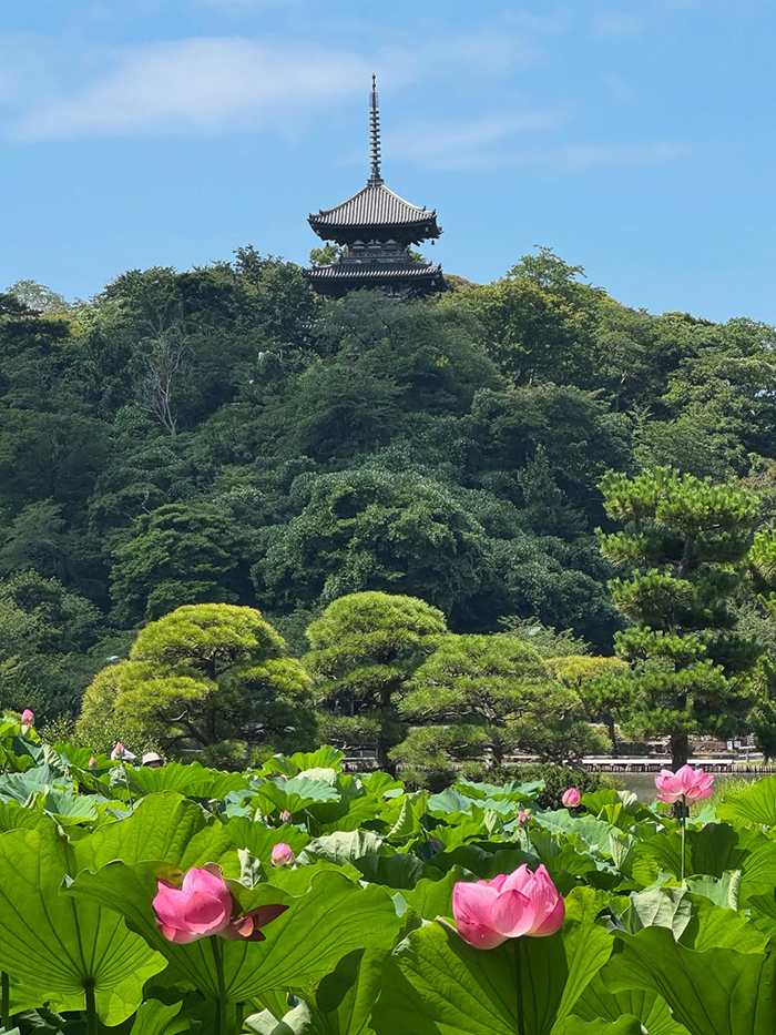 Khám phá thiên nhiên kỳ thú tại vườn Sankeien Nhật Bản