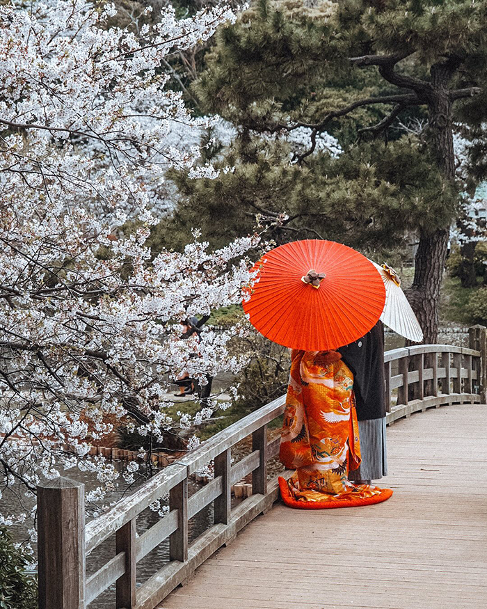 Trải nghiệm tuyệt vời tại vườn Sankeien Nhật Bản