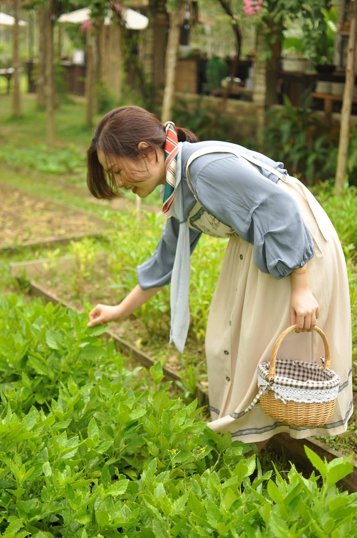 Ghé nông trại ngay gần Công viên suối khoáng nóng Núi Thần Tài Đà Nẵng