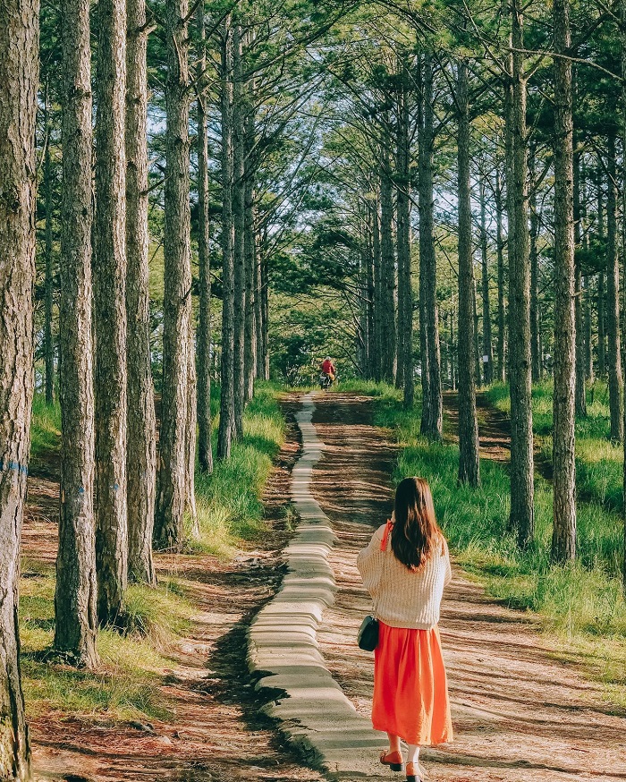 Du lịch chữa lành nên đi đâu? Đến Đà Lạt tận hưởng bình yên
