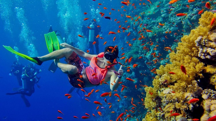 Chinh phục đảo Zanzibar là hoạt động trải nghiệm ở châu Phi không thể bỏ lỡ - Ảnh: Khám Phá Châu Phi 