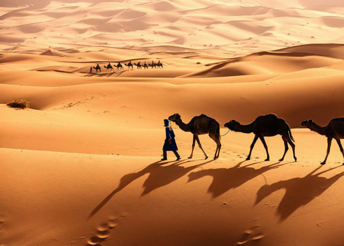 Khám phá sa mạc Sahara - Ảnh: Lữ Hành Việt Nam