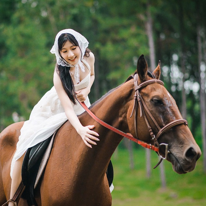 Bạn có thể tham gia khóa huấn luyện cưỡi ngựa tại khu du lịch sinh thái ở Đồng Nai