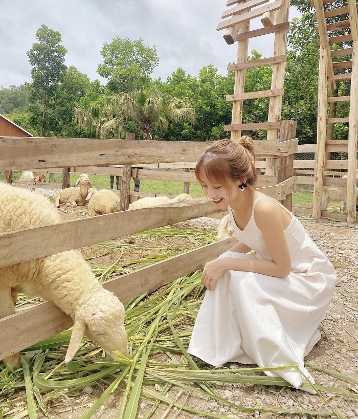 Khu du lịch sinh thái ở Bắc Giang có đồi chè bát ngát
