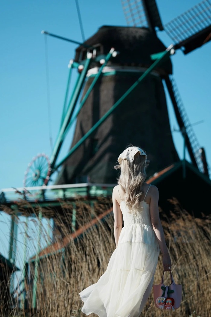 tham quan cối xay gió là hoạt động có tính phí ở làng Zaanse Schans Hà Lan