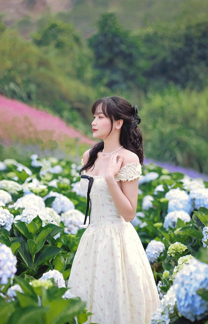 Hoa cẩm tú cầu là một trong những loài hoa mùa hè ở Mộc Châu được yêu thích