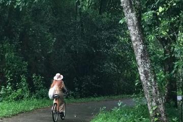 Điểm tên khu du lịch sinh thái ở Đồng Nai cách Sài Gòn không xa