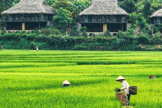 Một vòng dạo quanh những thung lũng đẹp nhất Tây Bắc
