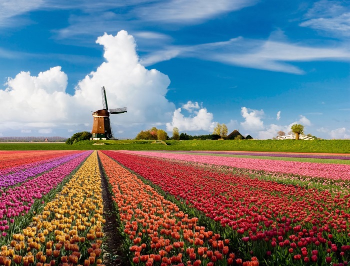 5 cảnh đẹp Hà Lan làm say đắm lòng người