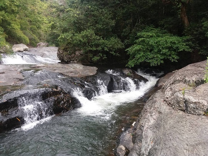 Phuoc Binh National Park is hidden in the middle of Ninh Thuan's fire pan