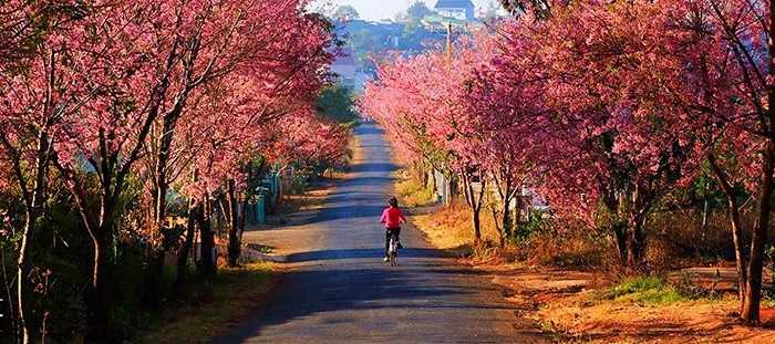 điểm đến lý tưởng để du lịch mùa thu Việt Nam