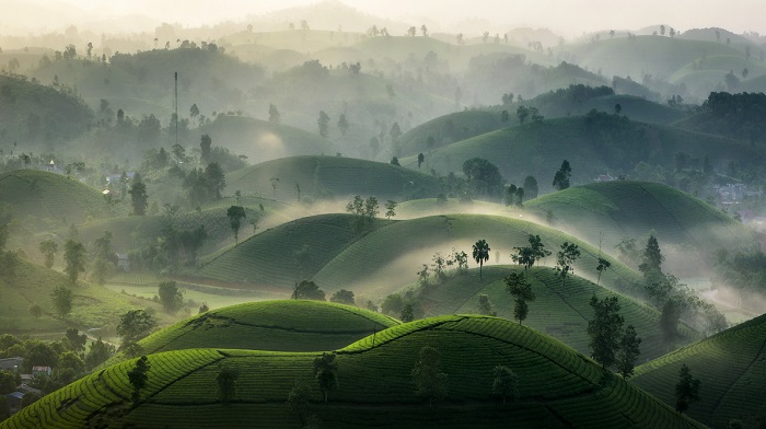 hồ Ly ở Phú Thọ