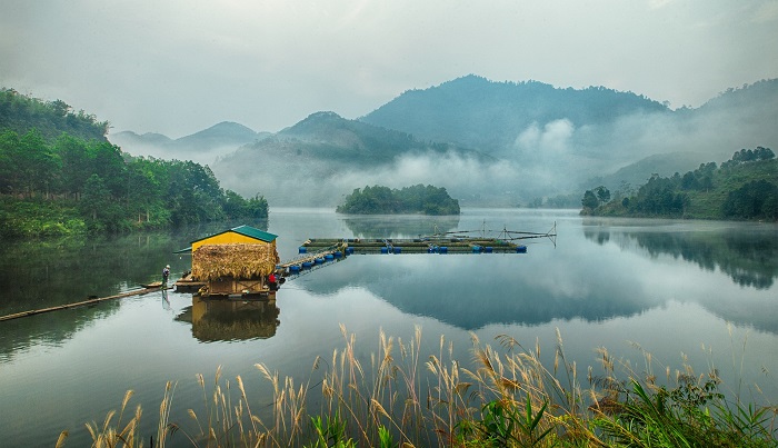 hồ Ly ở Phú Thọ