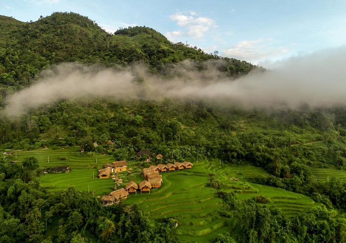 homestay view đồng lúa