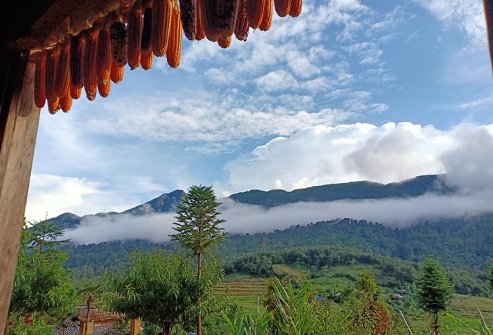 homestay view đồng lúa