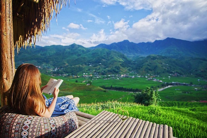 homestay view đồng lúa