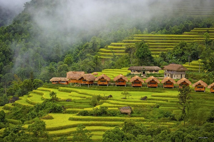 homestay view đồng lúa