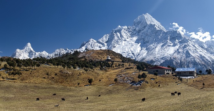 'Tất tần tật' kinh nghiệm trekking ở Nepal