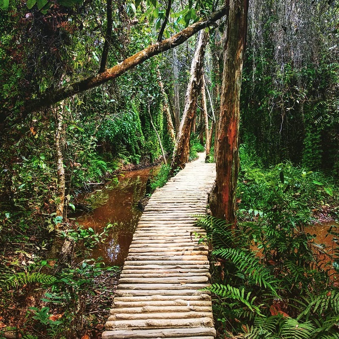 làng bích họa Cao Lãnh