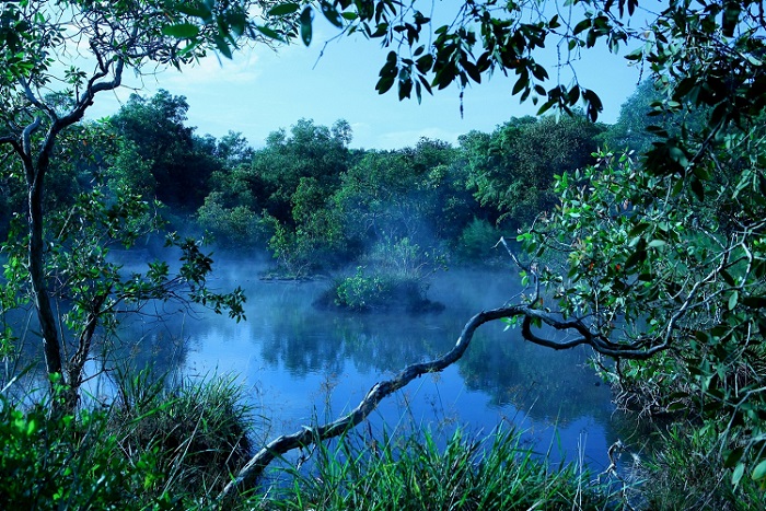 rừng quốc gia Bình Châu Vũng Tàu
