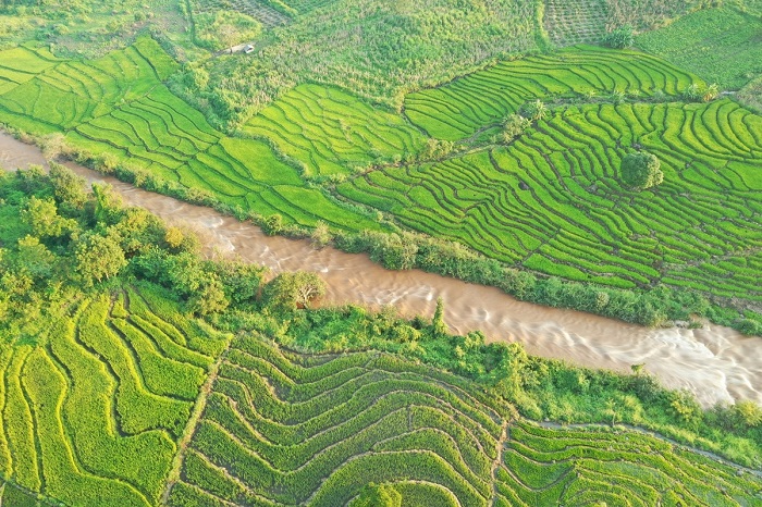 ruộng bậc thang Chư Sê