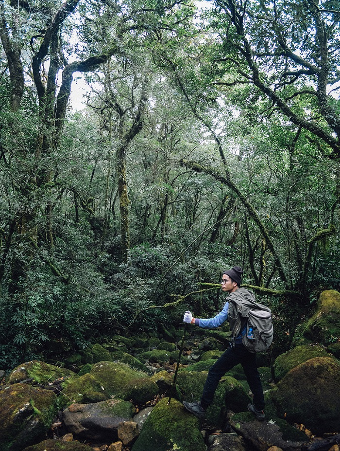 The roads are tough and dangerous. Photo: dulichdiaphuong