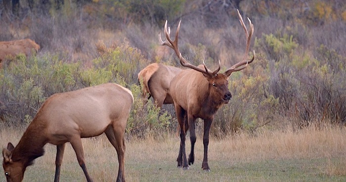 địa điểm ngắm bầu trời đêm ở Montana